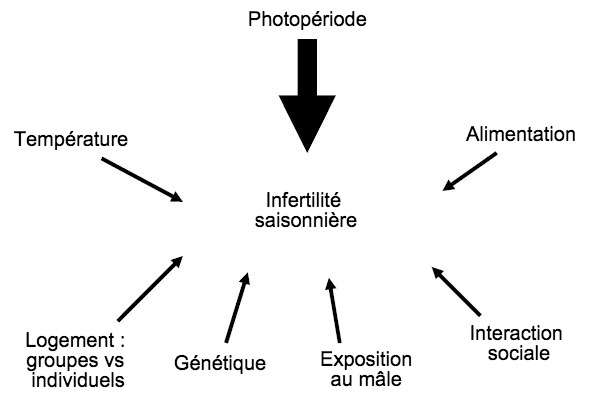 Figure 7. Facteurs influant l'apparition d'infertilité saisonnière.
